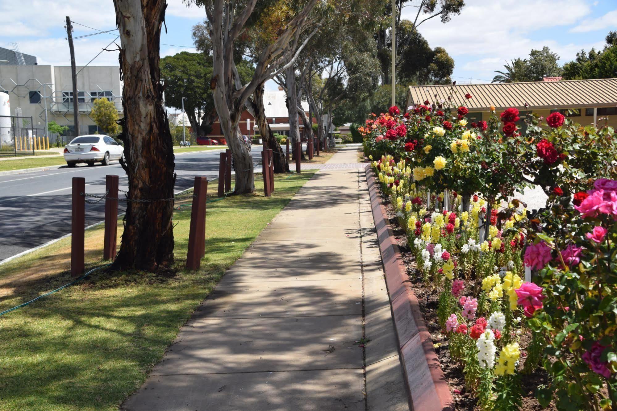 Big River Motel Echuca Moama Exterior photo